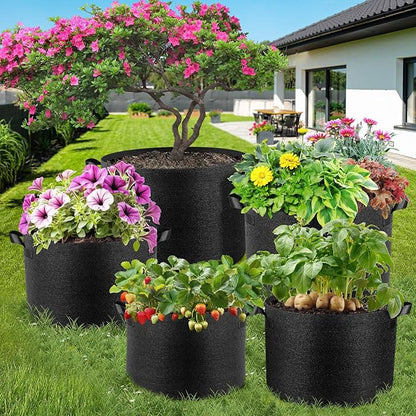 10 Pack 2 Gallon Grow Bags, Thickened Nonwoven Fabric Planter Pots with Handles, Heavy Duty 300G Garden Pots for Tomato, Potato and Vegetable