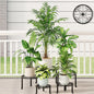 5 Pack Metal Plant Stand Heavy Duty Metal Plant Shelf for Multiple Plants Anti-Rust Iron Flower Pot Stand Holder for Home Garden
