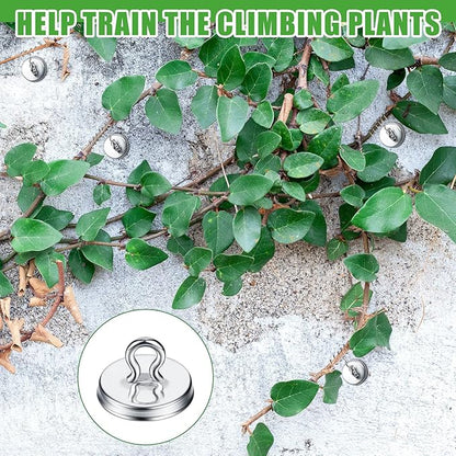 WILLBOND Plant Anchor Kit, 80 Pcs Vine Anchors 5 Pack Silicone Adhesive Sealant Garden Tie Tape Metal Wire Wire Cutters for Spring Trellis Vine and Stucco Brick Wall Climbing Plants Supplies(Silver)
