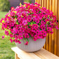 Artificial Flowers for Outdoors Fake Plants - 16 Bundles Faux Outside Greenery Boxwood No Fade Plastic Shrubs Fall Decor Farmhouse Home Garden Thanksgiving Mums (Red)