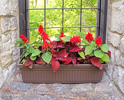 The HC Companies 18 Inch Venetian Rectangular Window Planter Box - Lightweight Plastic Indoor Outdoor Plant Pot with Drainage for Windowsill, Herbs, Flowers, Chocolate (Pack of 2)