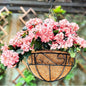 LaLaGreen Hanging Planter for Outdoor Plants (14 Inch, 6 Pack) Hanging Baskets with Coco Liner, Black Metal Wire Flower Basket Pots with Hook Hanger Balcony Porch Farmhouse Country Style Garden Decor