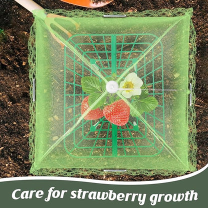 6 Sets Strawberry Plant Support with Mesh Plant Cover,Strawberry Growing Racks Sets with Iron Plant Nails and Storage Bag for Garden Strawberry Vegetables(Green Net - Square)