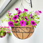 LaLaGreen Hanging Planter for Outdoor Plants (20 Inch, 2 Pack) Hanging Baskets with Coco Liner, Black Metal Wire Flower Basket Pots with Hook Hanger Balcony Porch Farmhouse Country Style Garden Decor