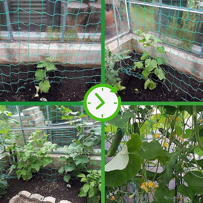 Trellis Netting for Climbing Plants - Heavy Duty Garden Trellis Netting for Cucumber, Vine, Fruits & Vegetables Tomato Plants Trellis Net, Climbing Vining Plants (1-Pack 16.4' x 6.6'Ft)