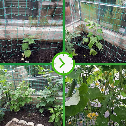 Trellis Netting for Climbing Plants - Heavy Duty Garden Trellis Netting for Cucumber, Vine, Fruits & Vegetables Tomato Plants Trellis Net, Climbing Vining Plants (1-Pack 3.3' x 6.6'Ft)