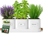 volila Herb Planter Indoor - Set of 3 Warmstone Indoor Herb Garden Pots for Plants with Leather Handled Tray - Window Sill Plant Shelf - Herb Pots with Drainage Holes and Labels