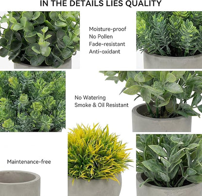 Fake Plants, 5 Pack Artificial Eucalyptus & Greenery in Cement Pots - Small Potted Faux Plants for Indoor Outdoor Shelves, Desk, Table, Farmhouse Bathroom, Office & Modern Home Decor