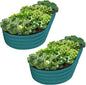 Plant & Plot Galvanized Raised Garden Beds Outdoor // 8×4×1 ft (2-Pack) Planter Raised Beds for Gardening, Vegetables, Flowers // Large Metal Garden Box // Patented Tool-Free Design (Turquoise)