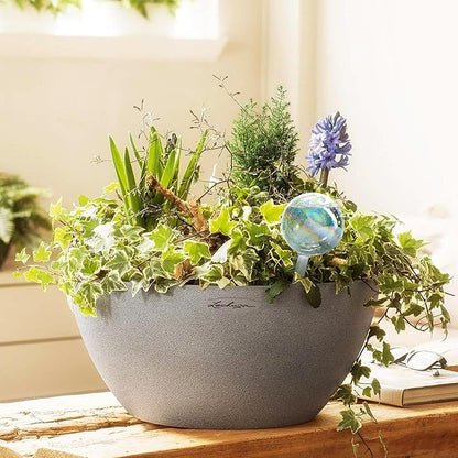 Clear Plant Watering Globes Set of 6 - Small Self Watering Globes for Indoor & Outdoor Plants - Automatic, Glass Watering Bulbs for Daily Use, Plant Watering Devices