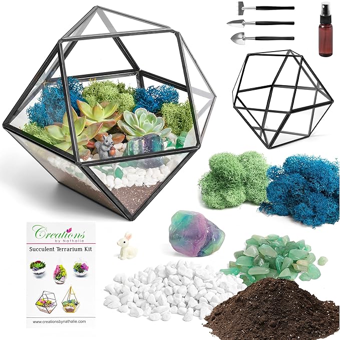 Terrarium Kit with 7-Inch Glass Dodecahedron Container, Moss and Tools