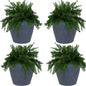 Sunnydaze 24-Inch Anjelica Large Plastic Pot for Plants - Outdoor Double-Walled Large Plastic Planter with Drillable Drainage Holes - Slate - 4pk