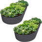 Plant & Plot Galvanized Raised Garden Beds Outdoor // 8×4×1 ft (2-Pack) Planter Raised Beds for Gardening, Vegetables, Flowers // Large Metal Garden Box // Patented Tool-Free Design (Gray)