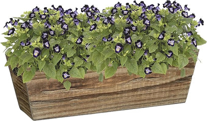 Classic Home & Garden Wood Window Box - Handled Buffalo Brown