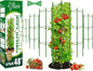 Riare 6 Pack 4 FT Tomato Cages for Garden- 48inches Heavy Duty Garden Stakes, Adjustable Tall Tomato Plant Support Tomato Trellis Cage for Pots, Raised Garden Bed, Climbing Vegetables Plants Flowers