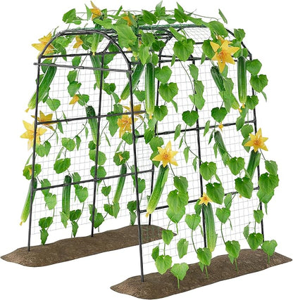 Miory Garden Arch Trellis for Climbing Plants Outdoor, Metal Plants Support Trellis for Climbing Vine Tomato Vegetable Flower Fruit, Cucumber Trellis for Raised Bed (71 x 83 Inch)