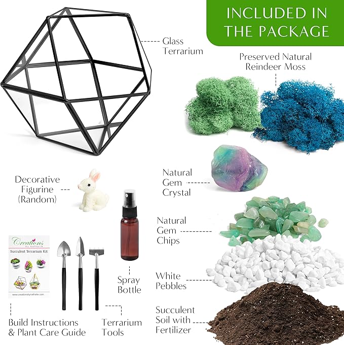 Terrarium Kit with 7-Inch Glass Dodecahedron Container, Moss and Tools