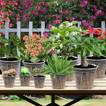 5 Set 7 Inch Transparent Plastic Garden Pots with Saucer - Planter with Drainage Hole for Indoor and Outdoor Plants - Includes 10 Plant Labels
