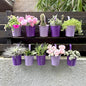 LaLaGreen Hanging Planter Outdoor - 10 Pack, 4 Inch Fence Planters Outdoor Purple Hanging Window Flower Bucket Metal Succulent Pots Balcony Railing Wall Garden Deck Porch Herb Plant Macetas Exterior