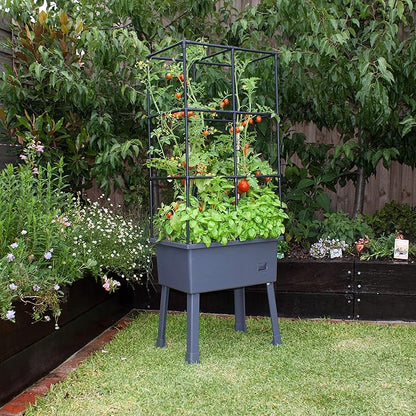 Frame It All Hydroponic Tower with Trellis Frame and Greenhouse Cover, Vertical Garden Planter for Vegetables and Flowers, Self-Watering Garden Tower with 4.35-Gallon Water Storage, 15.75 x 23.5 x 57